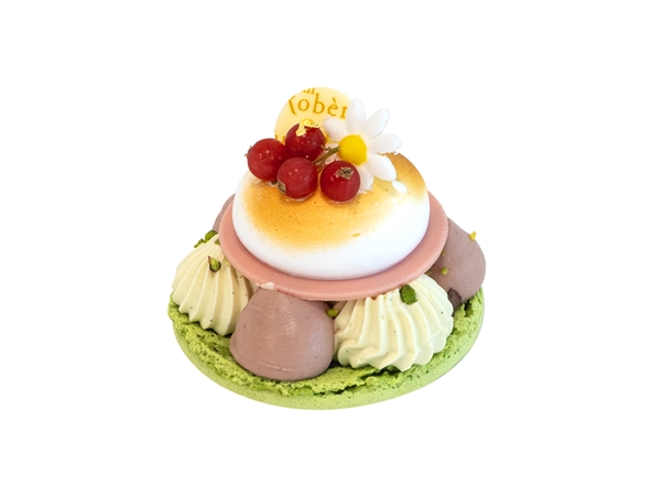 Macaron pistache aalbes