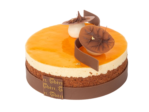 Abricot-choco (6-8 p)